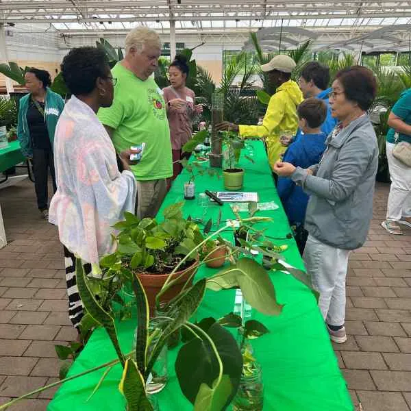 The Study Group Effect: How a Plant Swap Circle Beats Any Garden Center
