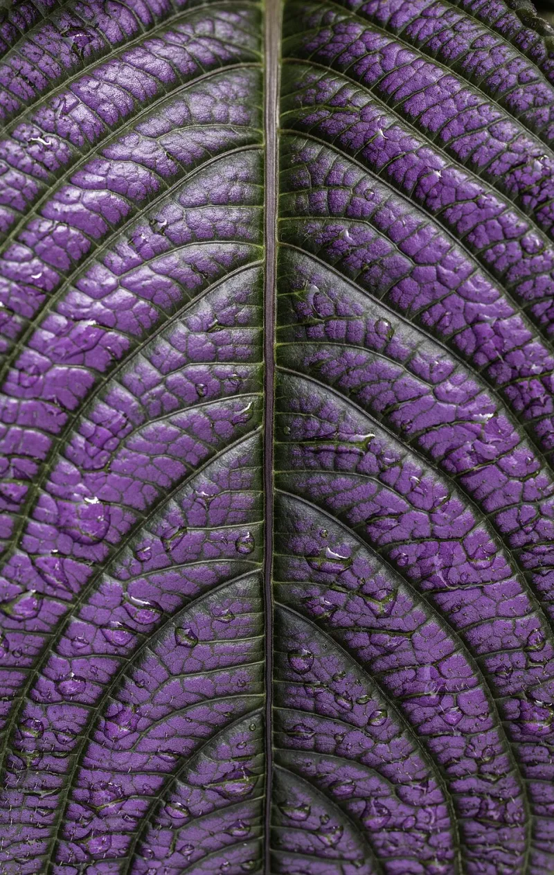 Raise Your Hand: A Field Guide to Getting Real Plant Help (Instead of Guessing)